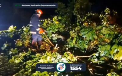 Árboles caen y bloquean carretera en Colomba Costa Cuca