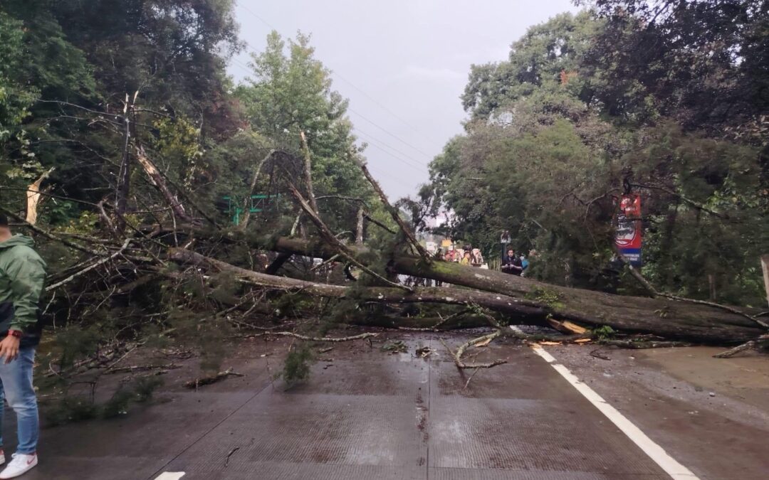 Reportan múltiples emergencias por lluvias en distintas regiones del país