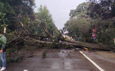 Reportan múltiples emergencias por lluvias en distintas regiones del país