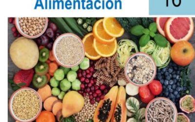 Hoy es el Día Mundial de la Alimentación, ¿Por qué surge?