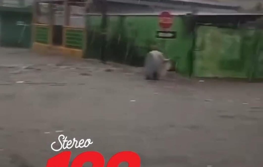 Correntada arrastra a un adulto mayor en Retalhuleu