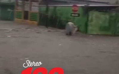 Correntada arrastra a un adulto mayor en Retalhuleu