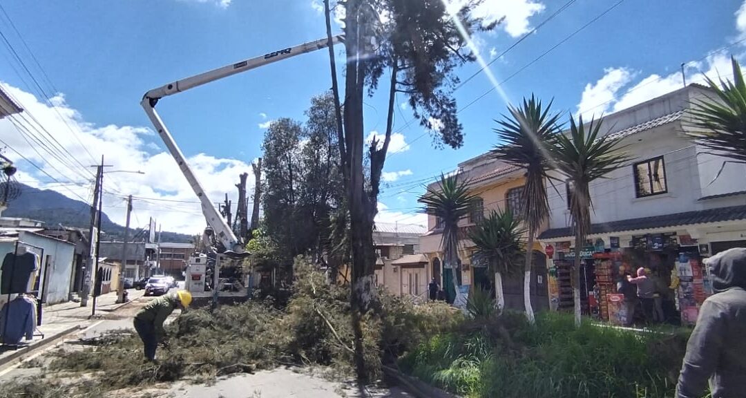 EEMQ poda en la zona 3 de Quetzaltenango