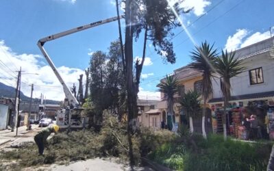 EEMQ poda en la zona 3 de Quetzaltenango