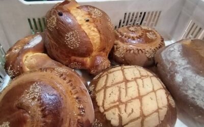 Este 16 de octubre es el Día Mundial del Pan