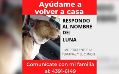 Servicio Social: Buscan a “Luna” desaparecida en Quetzaltenango
