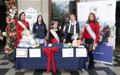 Inicia en la ciudad la campaña “Pequeños Gestos, Grandes Cambios” para apoyar a familias vulnerables
