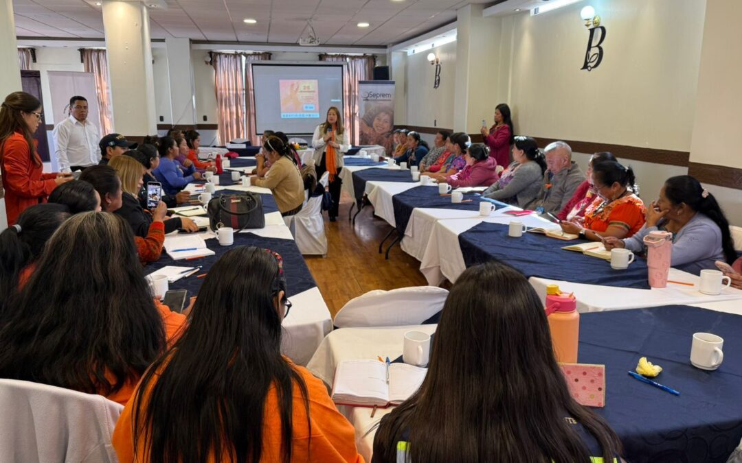 Desarrollan actividad por el Día Internacional de la Eliminación de la Violencia contra la Mujer