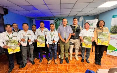 Anuncian campaña de control y protección del pinabete