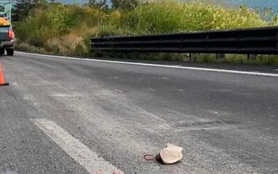 Hombre muere atropellado en la ruta Interamericana