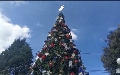 Hoy encenderán el Árbol Navideño en el Parque El Calvario