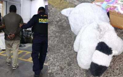 Revólver oculto en peluche descubierto por PNC