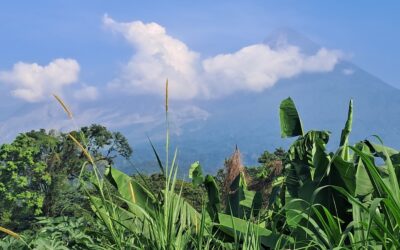 Así la actividad en el Volcán Santiaguito