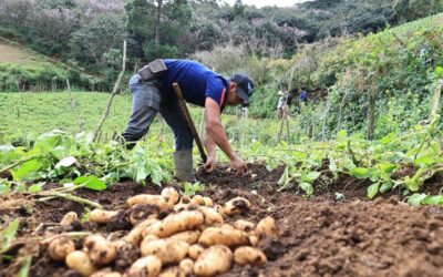 Persisten lluvias y riesgo de heladas en 17 departamentos del país