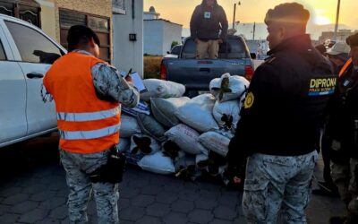 DIPRONA decomisa 69 sacos de musgo en operativo realizado en Salcajá, Quetzaltenango.
