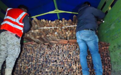 Nueve capturados en Huehuetenango por traslado ilegal de madera y un caso de asesinato