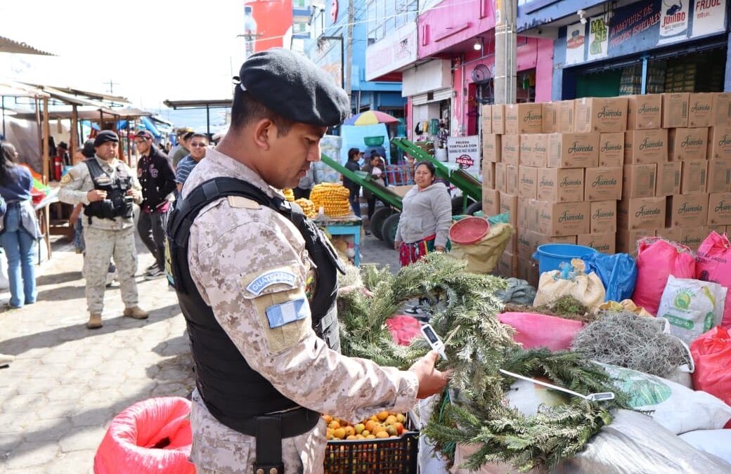 DIPRONA refuerza operativos para prevenir el comercio ilegal de Pinabete en Quetzaltenango.
