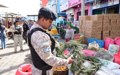 DIPRONA refuerza operativos para prevenir el comercio ilegal de Pinabete en Quetzaltenango.
