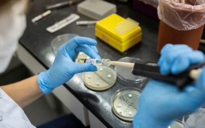 Confirman primer caso de influenza A H3N2 variante K en Guatemala