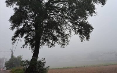 Frentes fríos mantienen ambiente frío en Quetzaltenango, según MAGA e INSIVUMEH