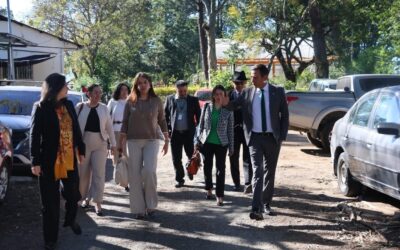 INAB fortalece coordinación con el BID para impulsar el desarrollo forestal en Guatemala