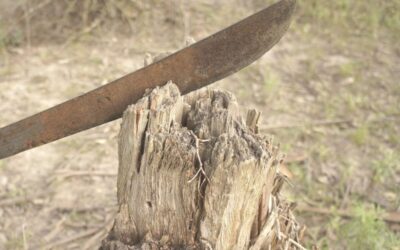 Condenan a más de dos años de prisión a hombre por ataque con machete en Sololá