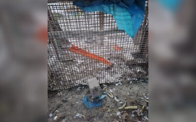 Vecinos de Tierra Colorada Baja, Quetzaltenango, denuncian ataques a animales y hallazgos de gallinas sin vida