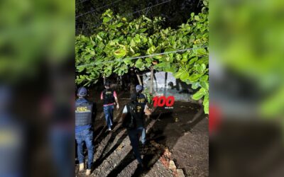 MP realiza allanamiento en Suchitepéquez por caso de seducción de menores y pornografía infantil