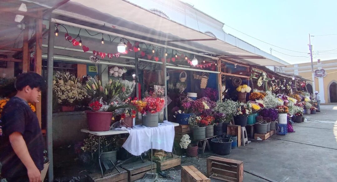 Ventas de flores aumentan 70% en El Calvario durante el Día del Cariño