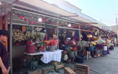 Ventas de flores aumentan 70% en El Calvario durante el Día del Cariño