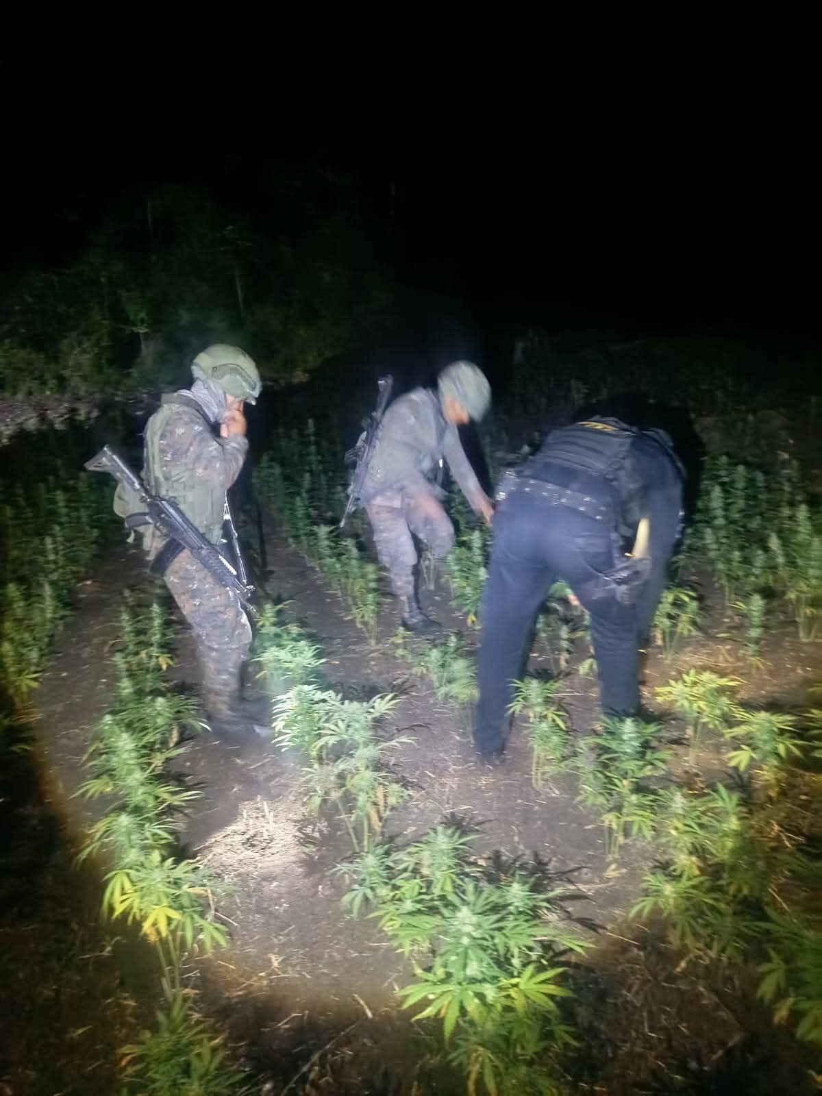 FB_IMG_1770651927219