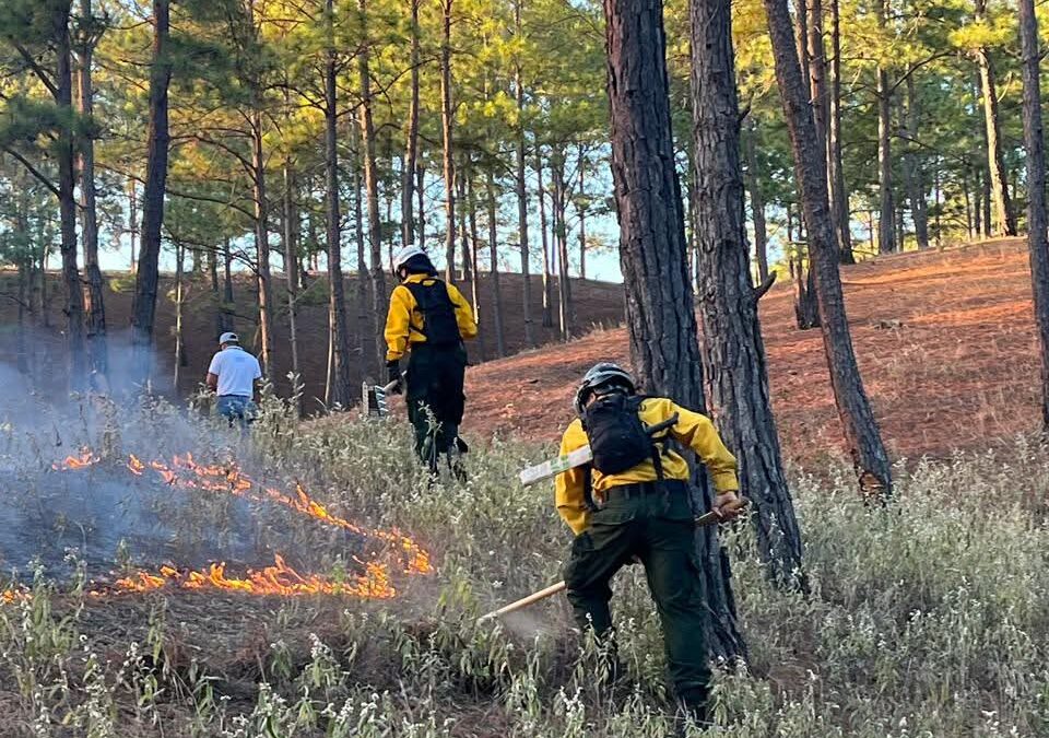 Conred informa del combate de 262 incendios en Guatemala