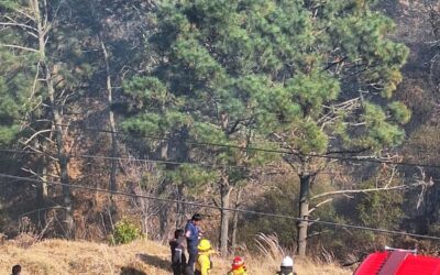 Bomberos Voluntarios atienden incendios forestales en zona 5 de Xela