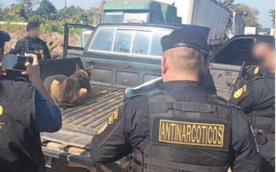 Localizan, en doble fondo, paquetes con ilícitos en Retalhuleu