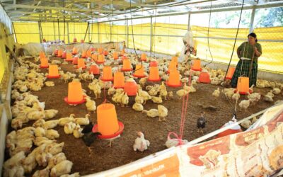 Semana de alta variabilidad climática pone en riesgo a dos departamentos