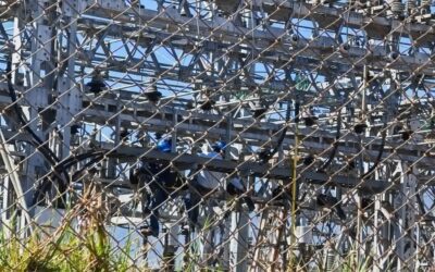 Falla en subestación La Esperanza obliga a suspender servicio eléctrico en ramales Xela 1, 2 y 3