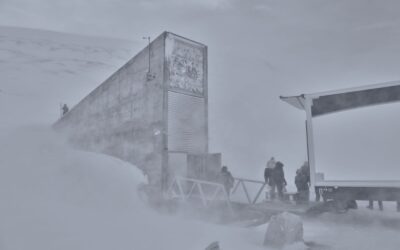 Guatemala resguarda semillas nativas en la Bóveda Global de Svalbard