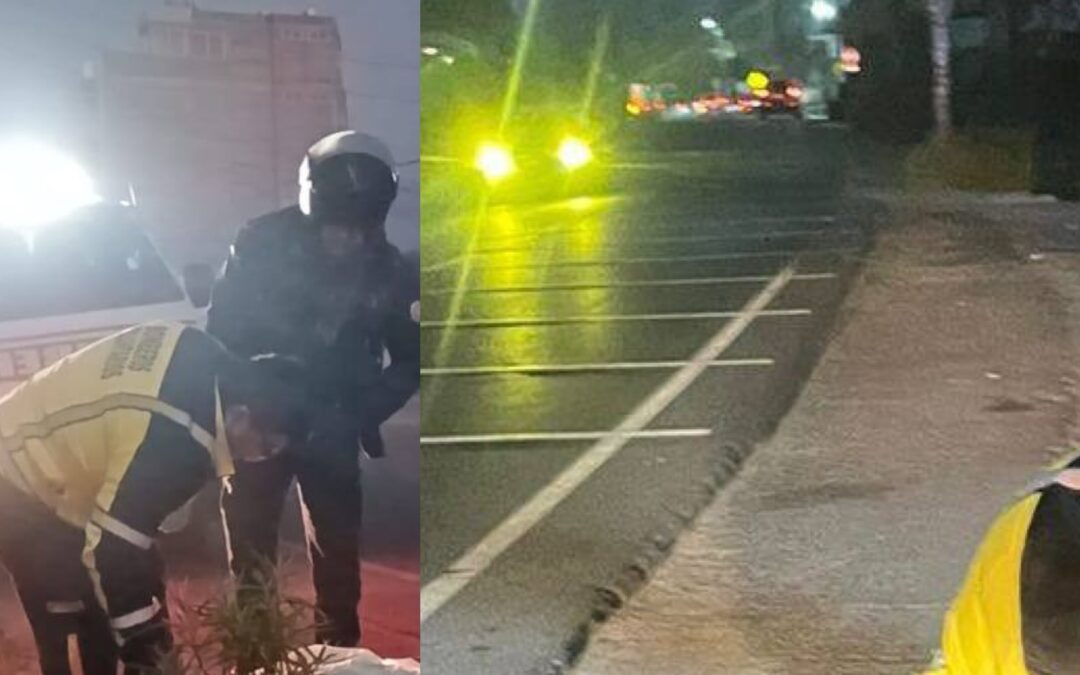 Hombre muere atropellado en la ruta Interamericana, sector Cuatro Caminos hacia Totonicapán