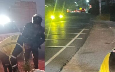 Hombre muere atropellado en la ruta Interamericana, sector Cuatro Caminos hacia Totonicapán