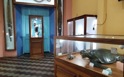 Museo de Historia Natural conmemora el Día Mundial del Teatro con actividad cultural