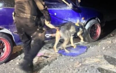 PNC captura a tres personas quienes llevaban droga en un vehículo