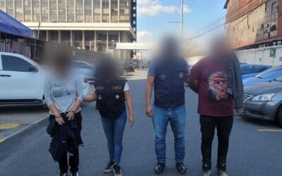 Capturados en la zona 2 de Guatemala por tráfico ilegal de loros