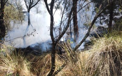 Bomberos sofocan incendio en La Esperanza