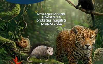 Hoy es Día Mundial de la Vida Silvestre