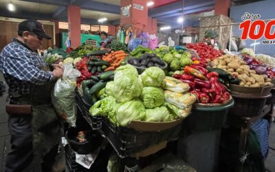 Proveedores de verduras reportan aumento en precios en productos básicos