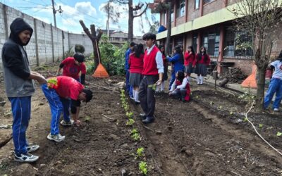 Impulsan la creación de huertos pedagógicos