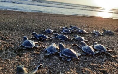 Guatemala promueve turismo en áreas protegidas durante Semana Santa