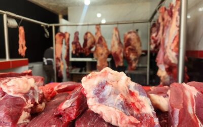 Industria en Nicaragua estaría incidiendo en alza del precio de la carne, según Diaco