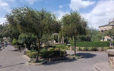 Anuncian cronograma de Festival Entre Pétalos en Quetzaltenango