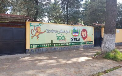 Muni de Xela impulsa modernización del Zoológico Minerva